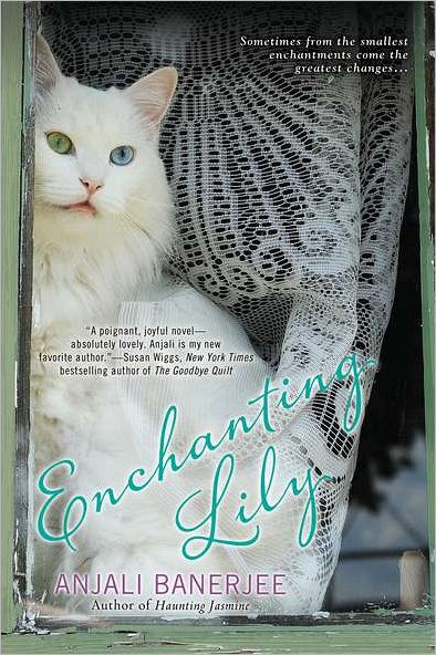 Enchanting Lily cover