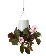 Boskke ~ Recycled Sky Planter