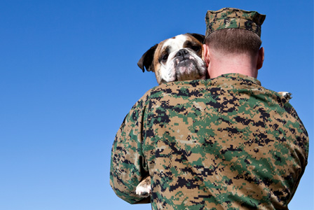 Soldier with dog