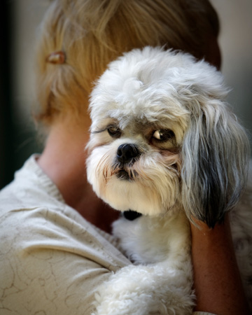 Woman holding sad dog