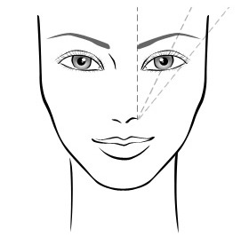 Eyebrow Shape Chart