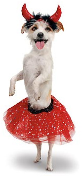 Devil with Tutu Halloween Dog Costume