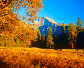 Yosemite National Park