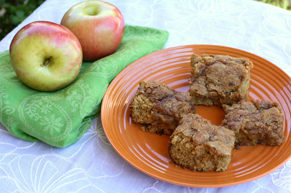Spiced Apple Squares