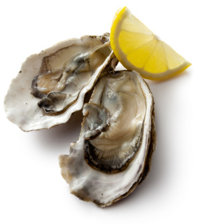 oyster