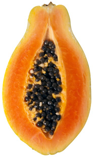 papaya