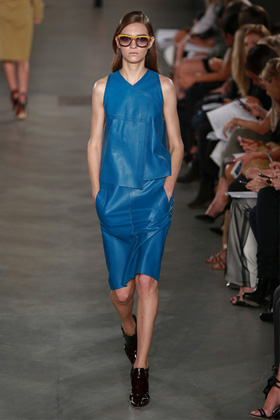 Derek Lam Leather