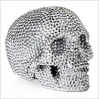 Metallic skull