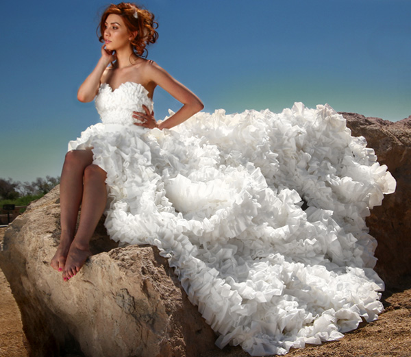 toilet paper wedding dress