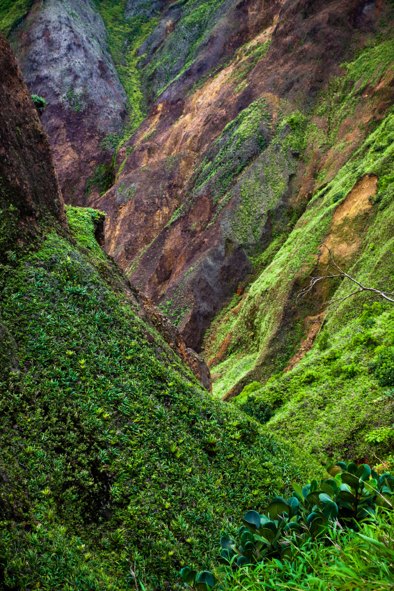Morne Trois Pitons National Park