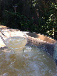Platinum's Wicked Witch Punch