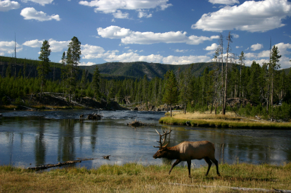 Yellowstone National Park