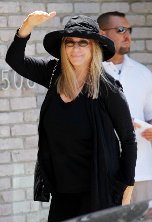 Barbra Streisand Brooklyn concert