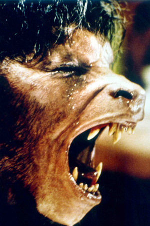 David Naughton as David Kessler in An American Werewolf in Paris