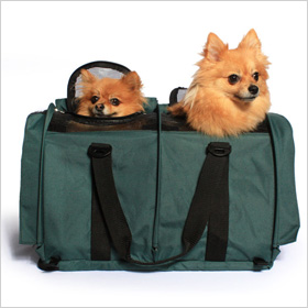 Sturdibag’s Divided pet carrier