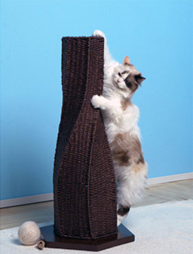 Calypso Cat Scratcher