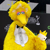 Dead Big Bird