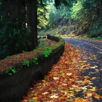 Columbia River Gorge