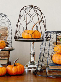 Chicken wire cloche