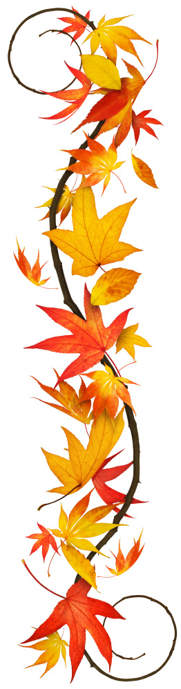 Fall leaves