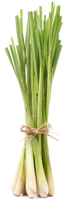 lemon grass