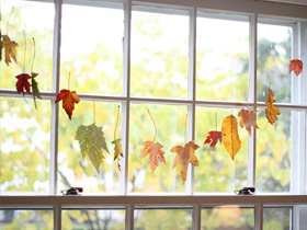 Leaf banner