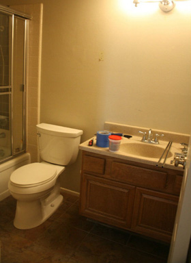 Bathroom Remodel