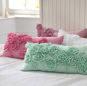 PB Teen pillows
