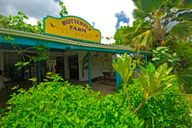 St. Martin Butterfly Farm