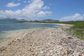 Tintamarre Island