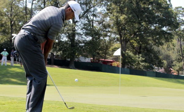 Tiger woods