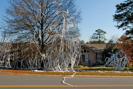 Toilet papered house