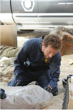 Hodgins examines the Pod Man in Bones