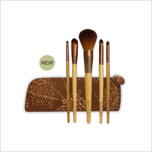 beauty brushes
