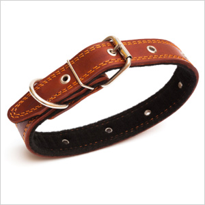 Dog collar