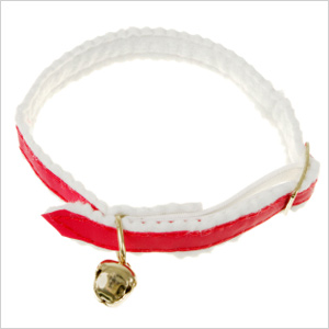 dog collar