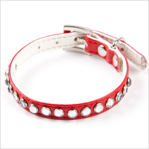 dog collar