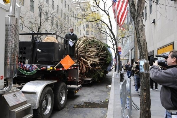 Al Roker with the 2013 Rockefeller Center Christmas tree