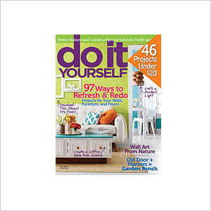 Subscription to a DIY magazine