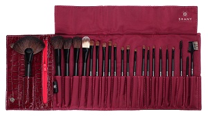 Shany brush set