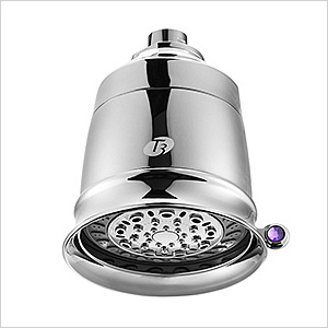T3 Source Showerhead