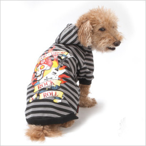 Bret Michaels’ Pet Hoodie