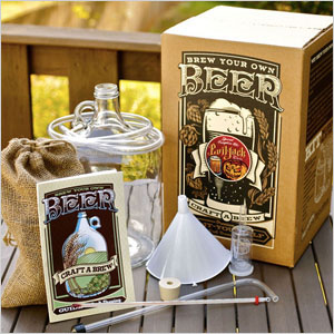 Beer brewing kit
