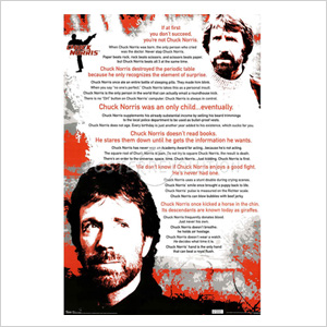 Chuck Norris Poster