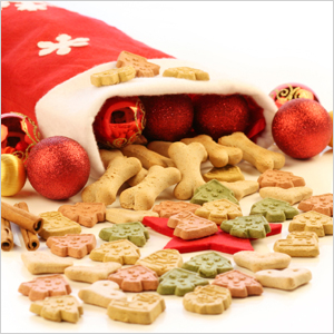 Pet stocking