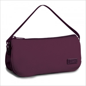 Secure purse