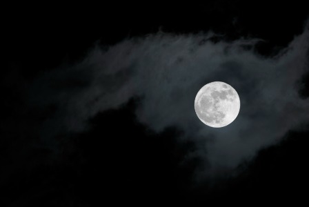 Pregnancy labor and full moon