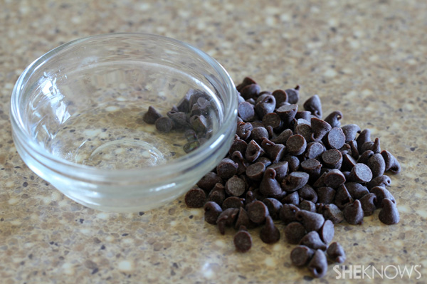 Mint Chocolate Chip