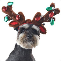 Holiday Plush Reindeer Antlers and Ears with Faux Light Bulbs