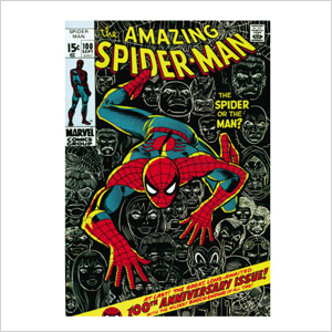 The Amazing Spider-Man Cover
